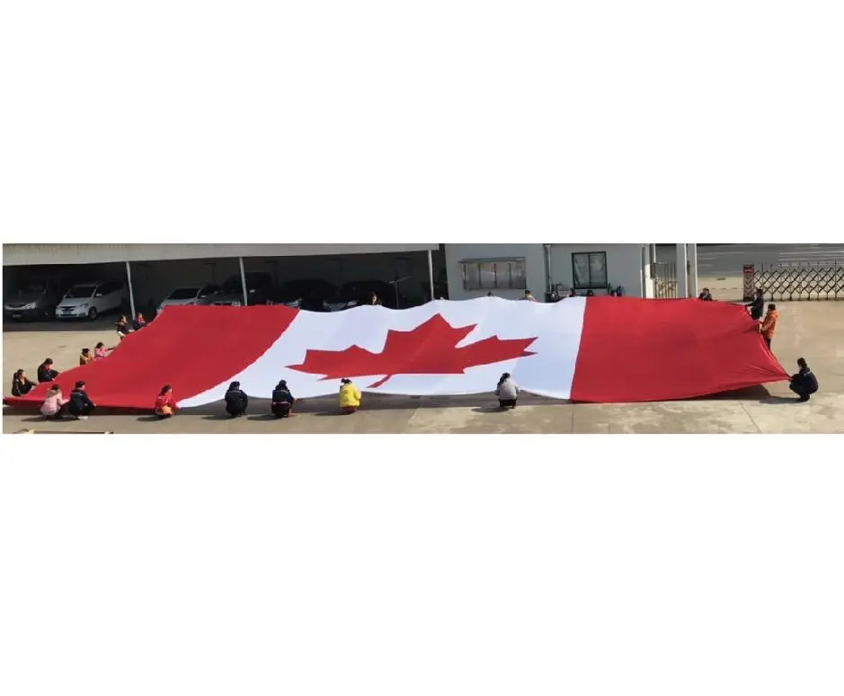 Giant Tigo Canada flag